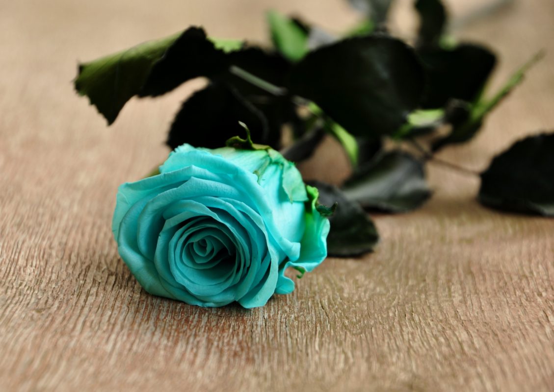 RoseBelle nie pozwoli o Tobie zapomnieć