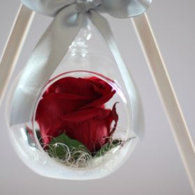 Różana choinka... dlaczego nie