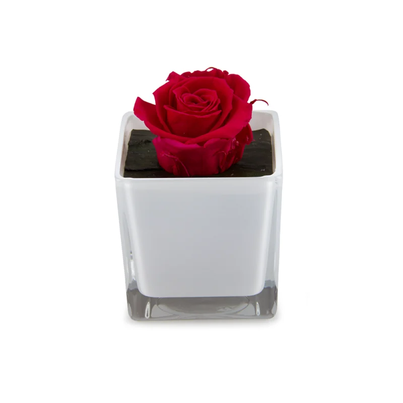 Floral Glass Pot czerwone róża w mlecznobiałym wazonie