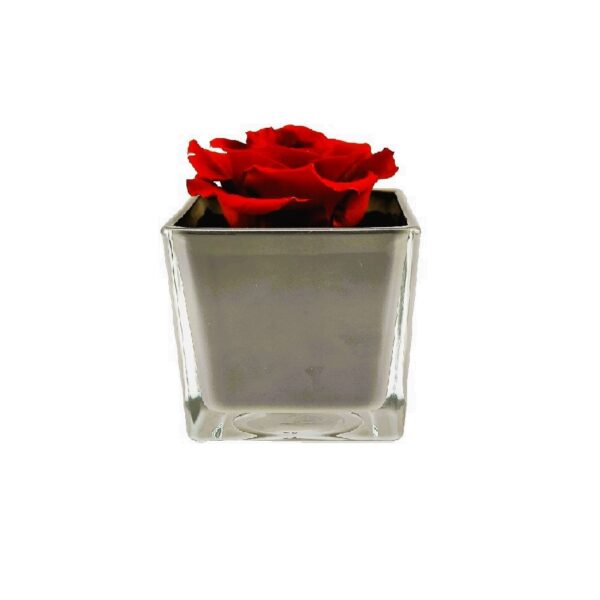 Kompozycja Box Glass szary