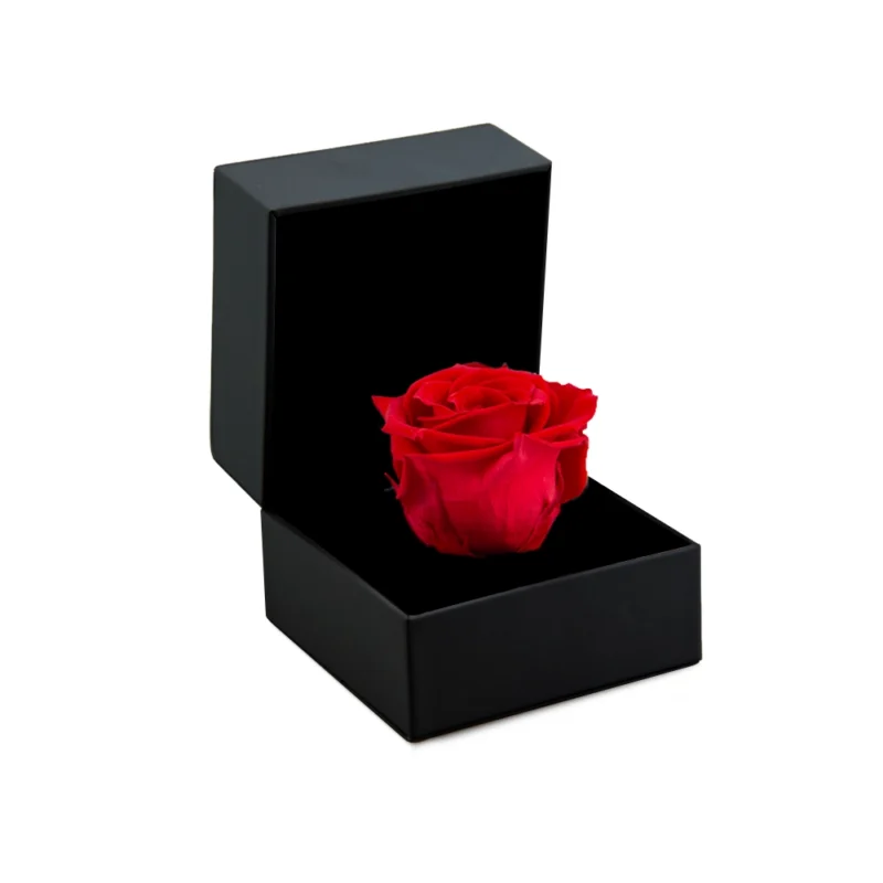 Love in Bloom czerwona róża w otwieranym etui