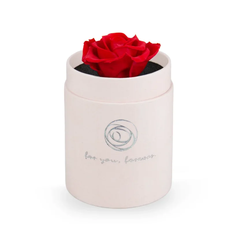 Rose Box S czerwona róża stabilizowana we flokowanym etui
