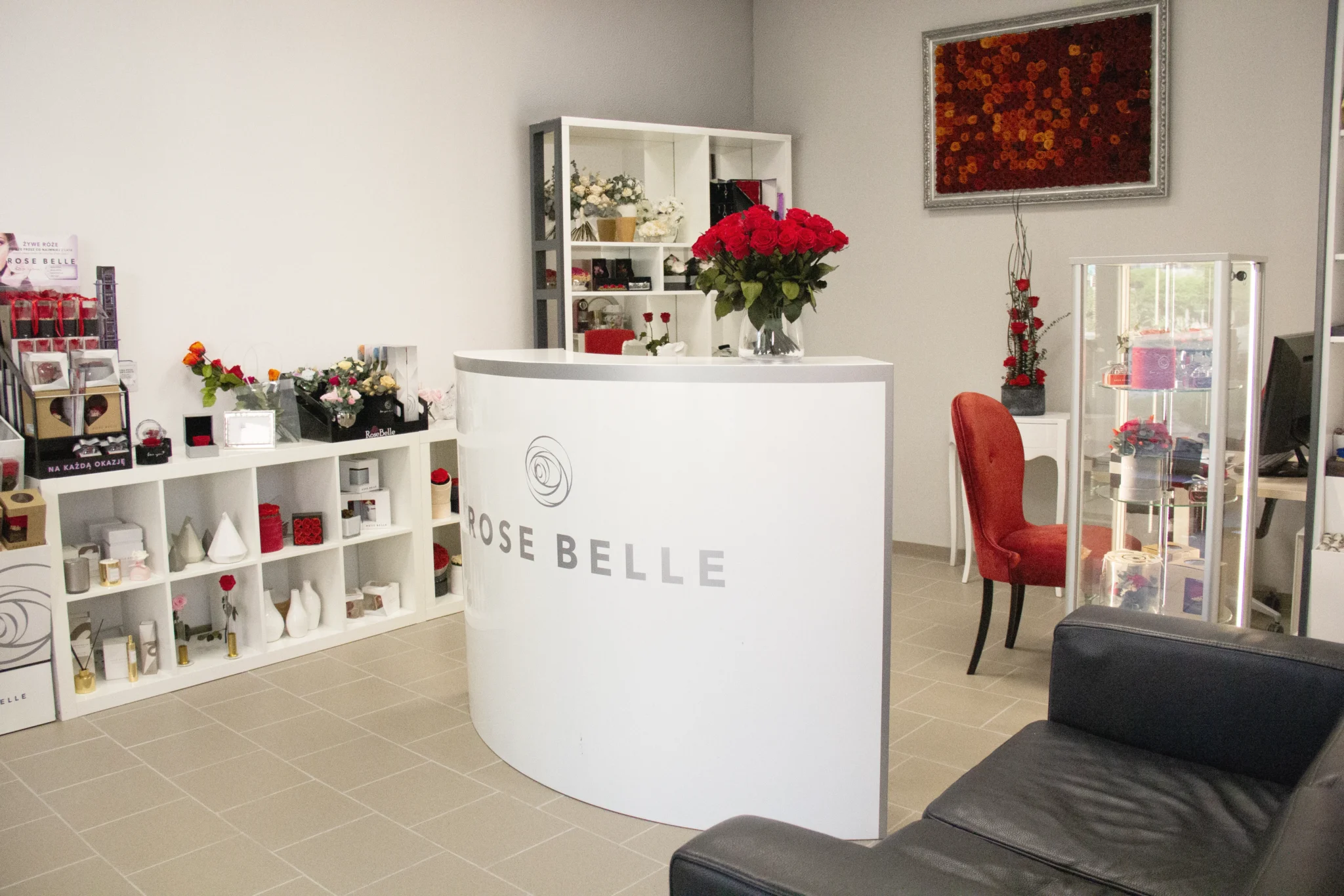 showroom opole