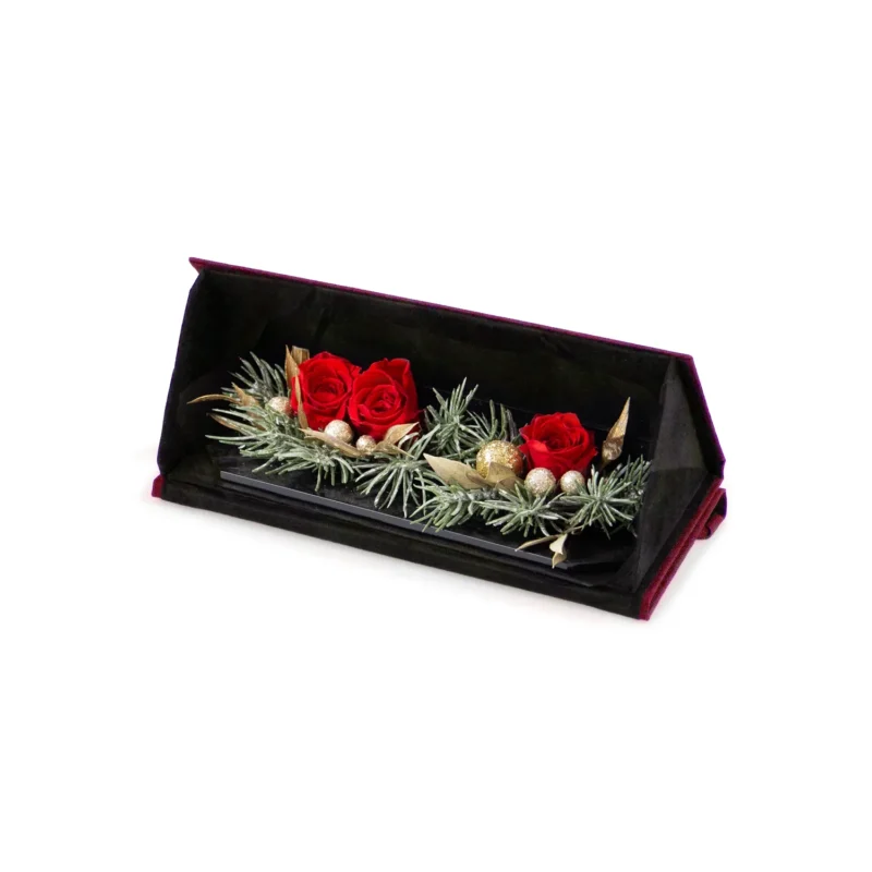 Christmas Gift Case świąteczna kompozycja w etui