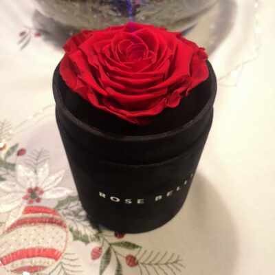 flower box 