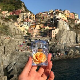 wakacje z rose belle