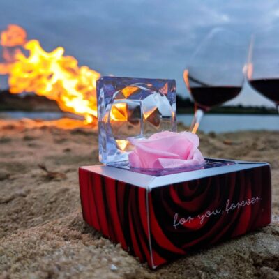 wakacje z rose belle