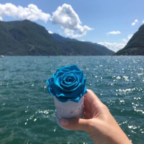 wakacje z rose belle