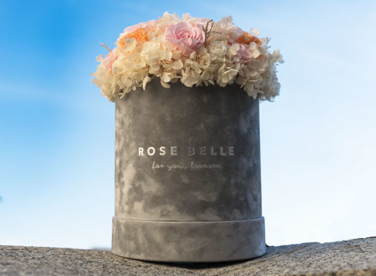 Kolekcja deLuxe w roku 2020