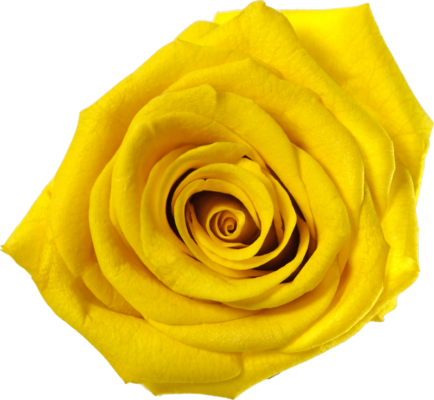 Sonniges Gelb (SYE)